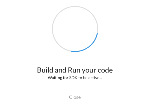 Build and Run your code, waiting for the SDK to be active