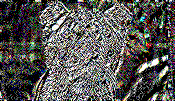 Wordpress import http://i.imgur.com/a3Tp42u.png