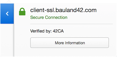 Wordpress import https://blog.codeship.com/wp-content/uploads/2016/03/Valid-client-certificate.png
