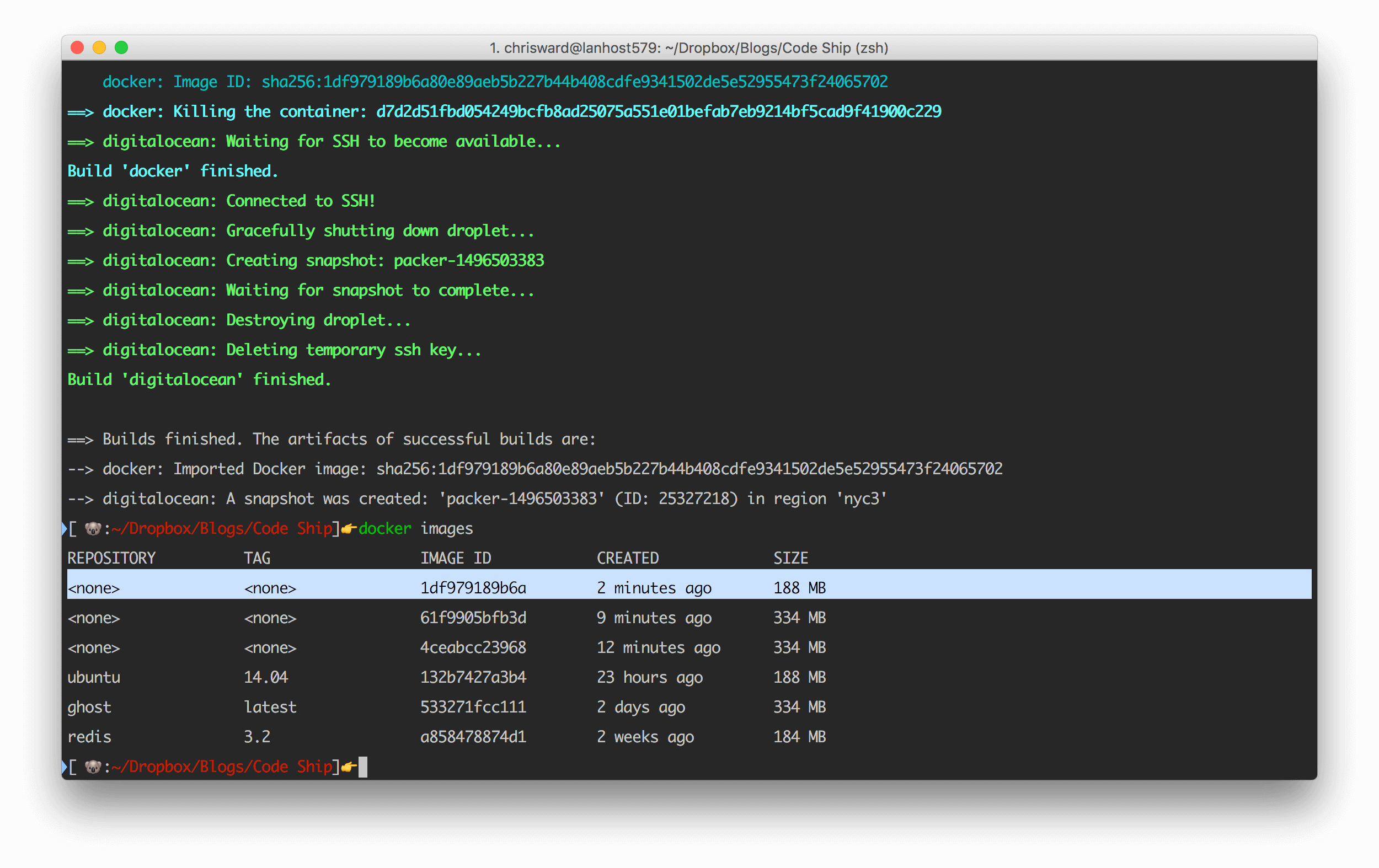 Docker image created with Packer