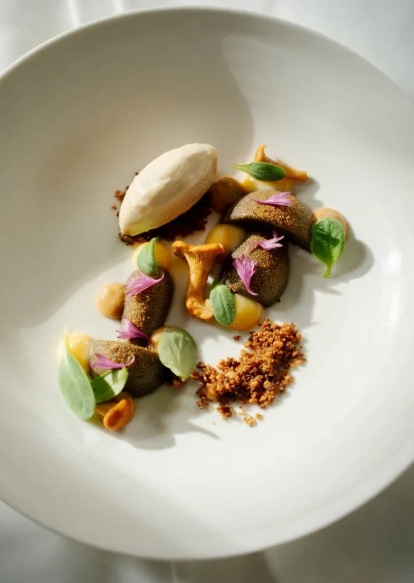 Gourmet dish with clear foam, mushroom pieces, green leaves and crispy crumbs on a white plate.