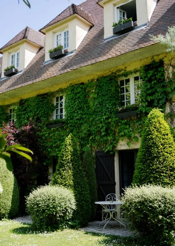Facade of an ivy-covered house with flowering windows, surrounded by bushes cut into a conical shape and a table with two iron chairs in the garden.