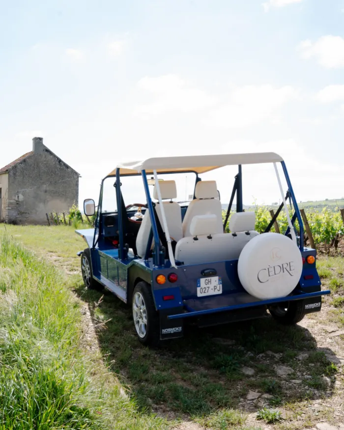 Coche eléctrico azul a cielo abierto estacionado en un sendero cubierto de hierba cerca de una casa de piedra y un viñedo.