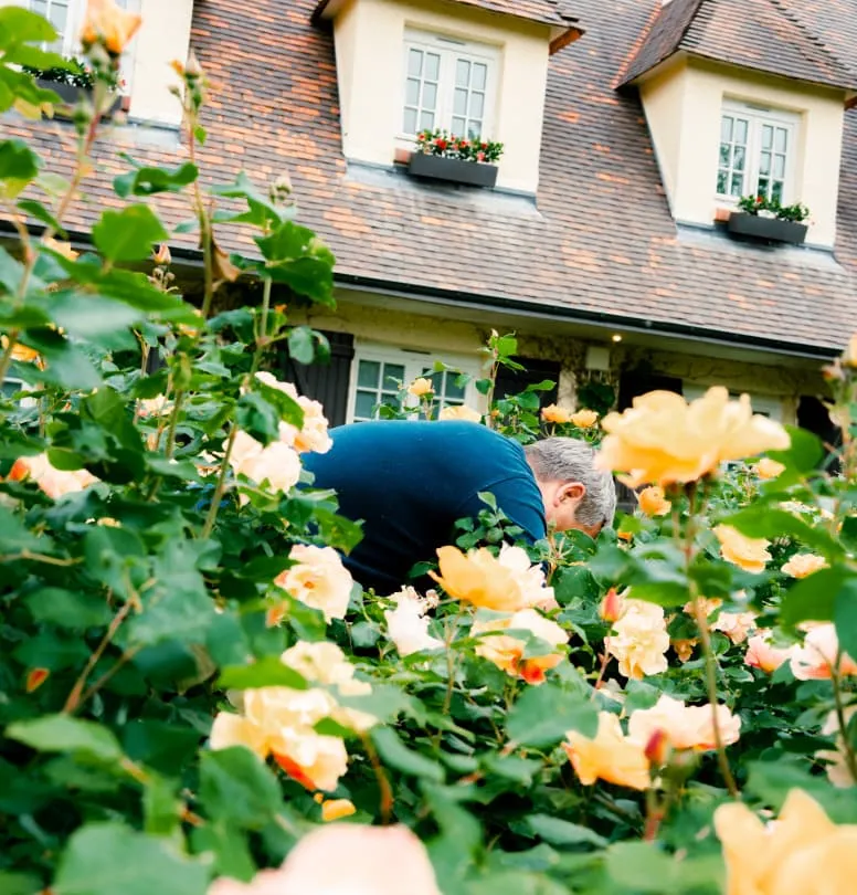 Giardino fiorito dell'Hostellerie La Briqueterie vicino a Épernay, nel cuore della Champagne.