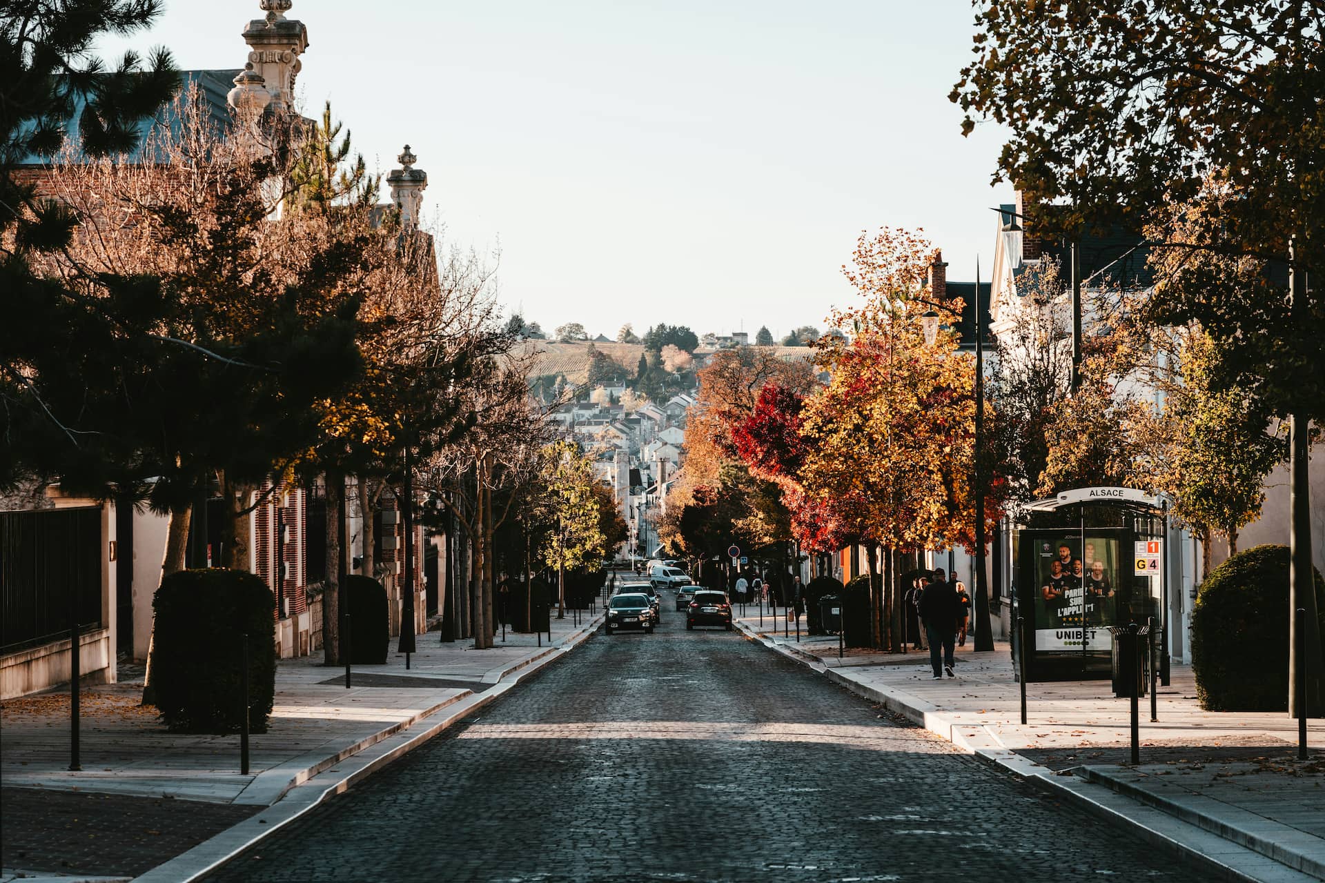 Wooded street in a French city with facades of houses and perspective on the countryside.