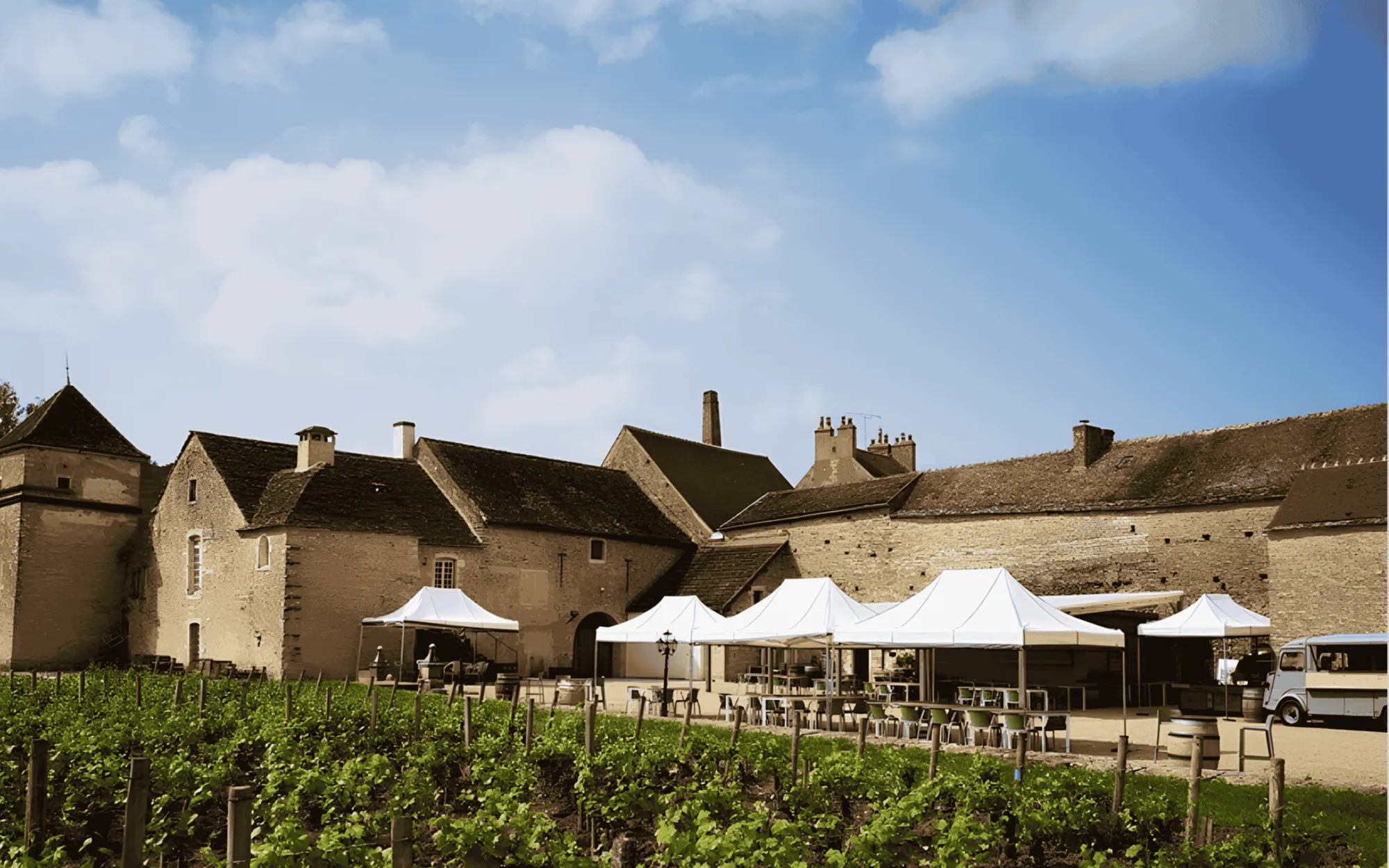 Wine estate surrounded by vineyards in Burgundy.
