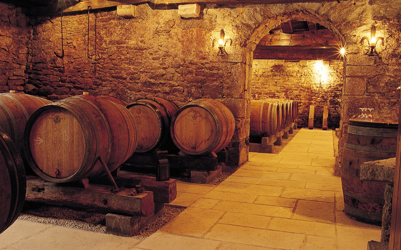 Traditional wine cellar with aging barrels.
