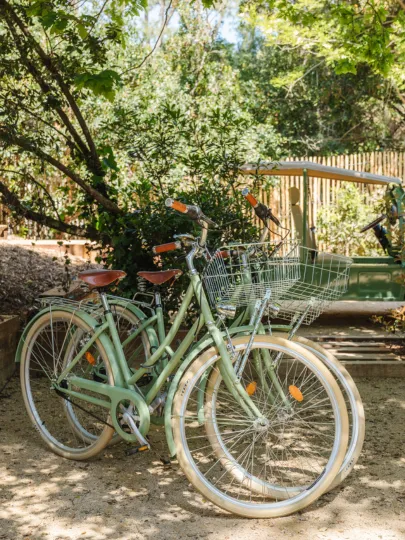 Biciclette nel giardino della Maison Oyat a Cap Ferret, nel cuore della pineta.