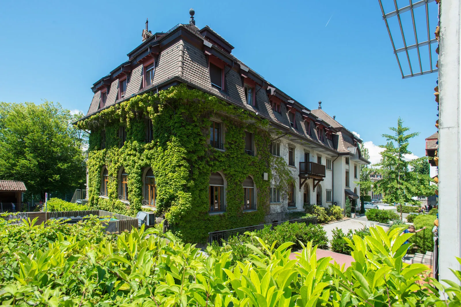 Large building partially covered with green ivy and surrounded by bushes under a clear blue sky.