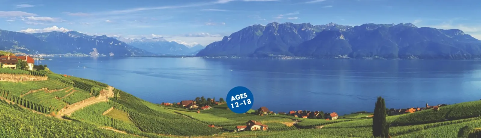 Vibrant green vineyards on rolling hills overlooking a large calm lake with distant mountains under a clear blue sky.
