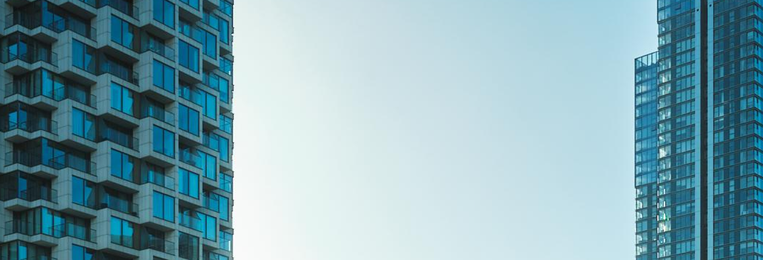 WSD Team working together