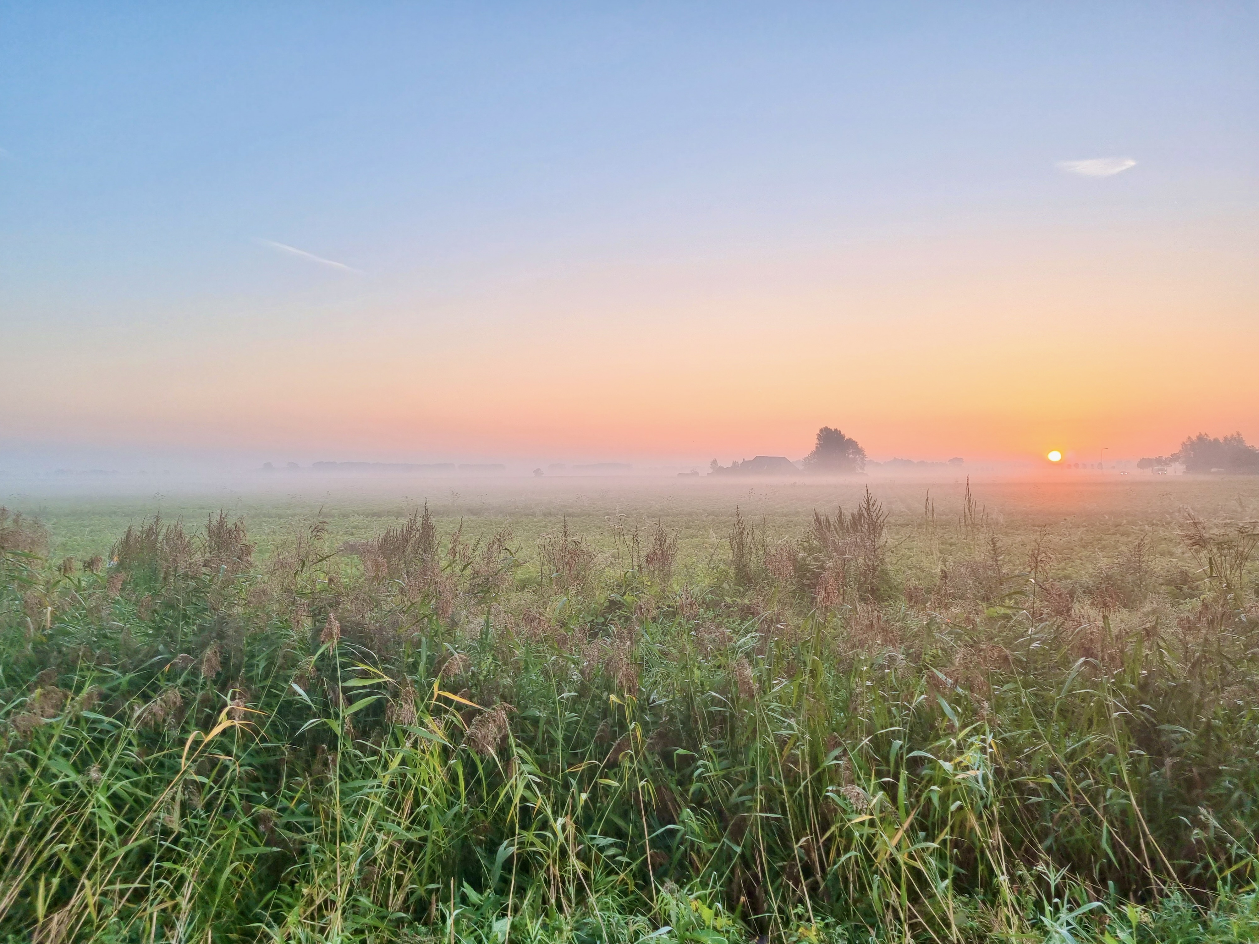 bovenste-rij-zonsopkomst
