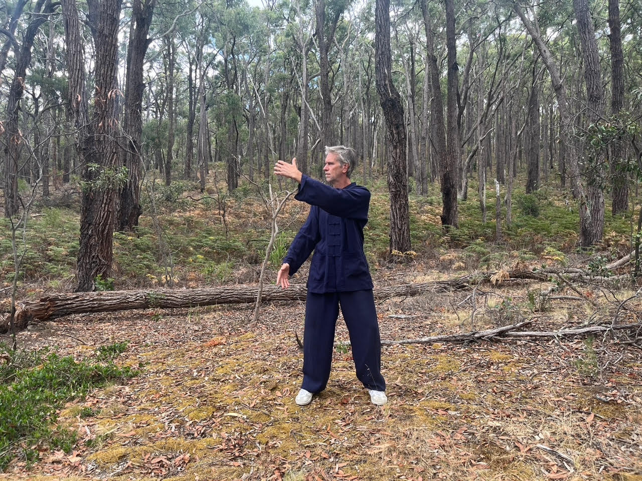 image of meditation hall (for a buddhist monasteries & temple)