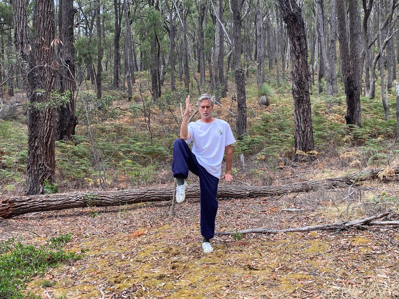 image of monks practicing meditation