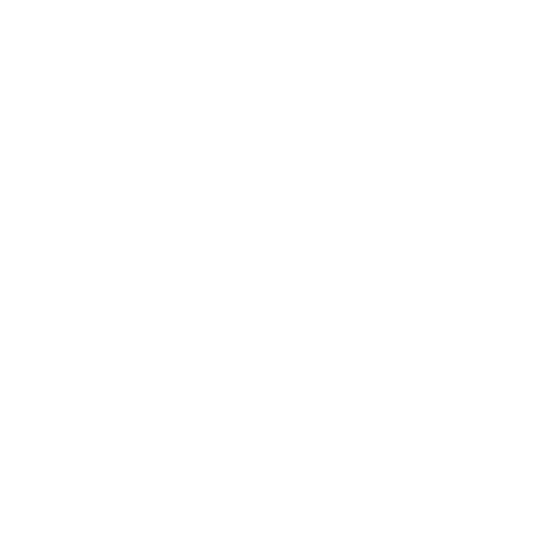 Wisdo Health