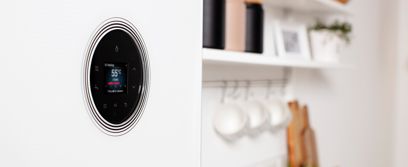 Gas Boiler Servicing