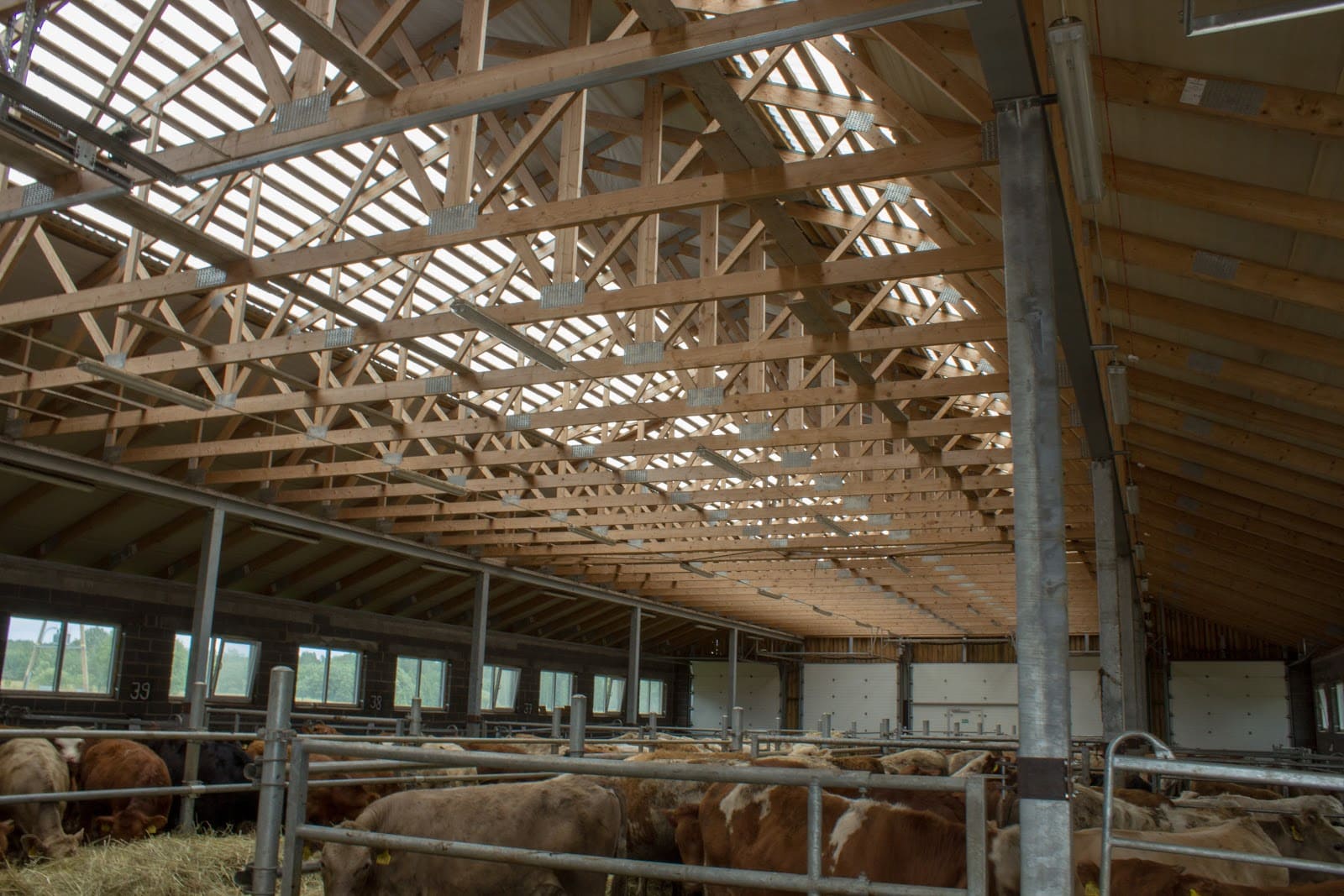 Roof constructions for a rural farm