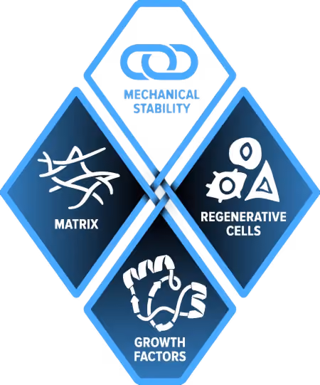 Diagram showing four biologic components: mechanical stability, matrix, regenerative cells, and growth factors