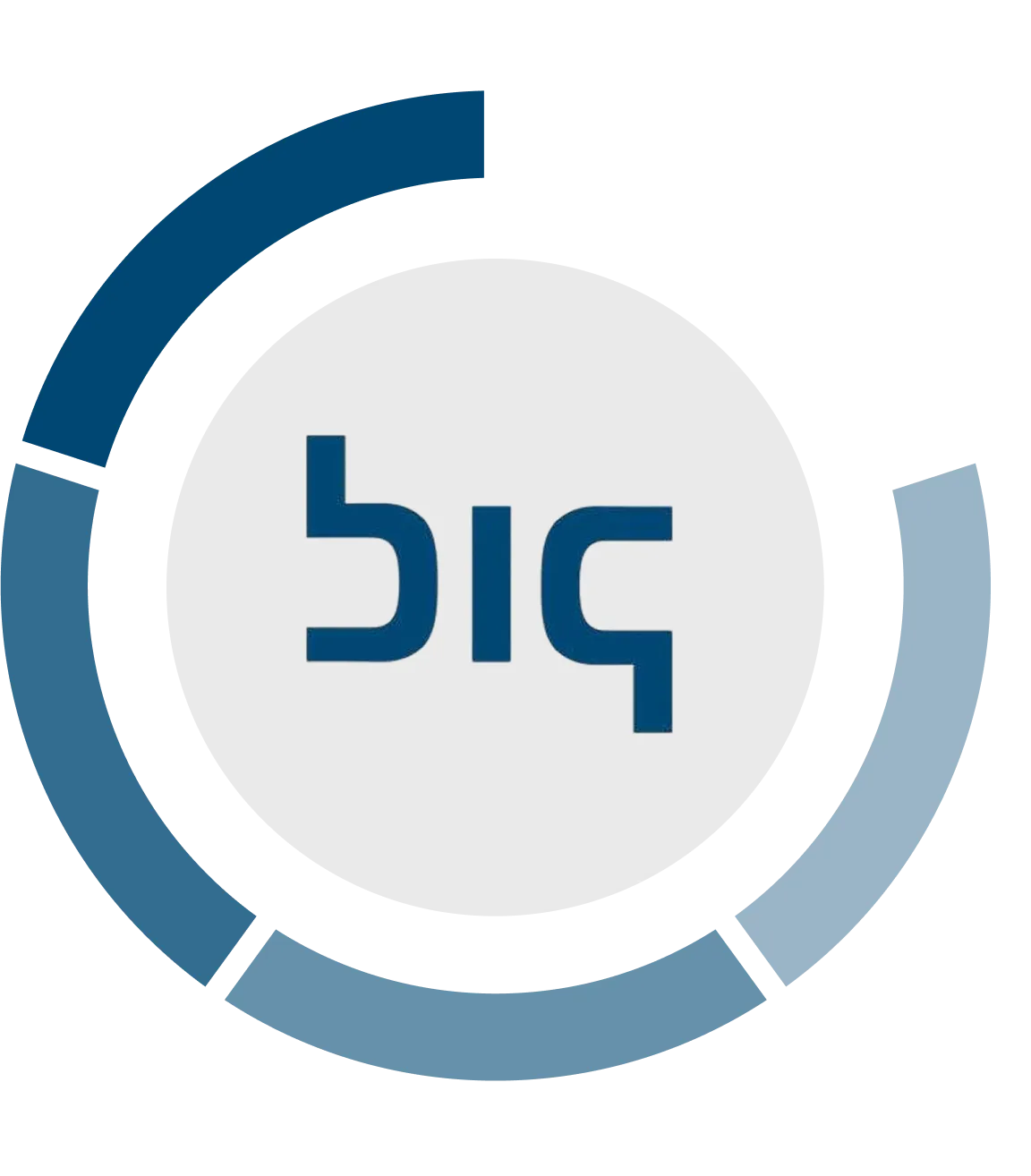 BIG Ingenieurgesellschaft Logo im kreisförmigen Grafikdesign