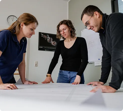 Teamfoto der BIG Ingenieurgesellschaft mbH Bitterfeld im Büro