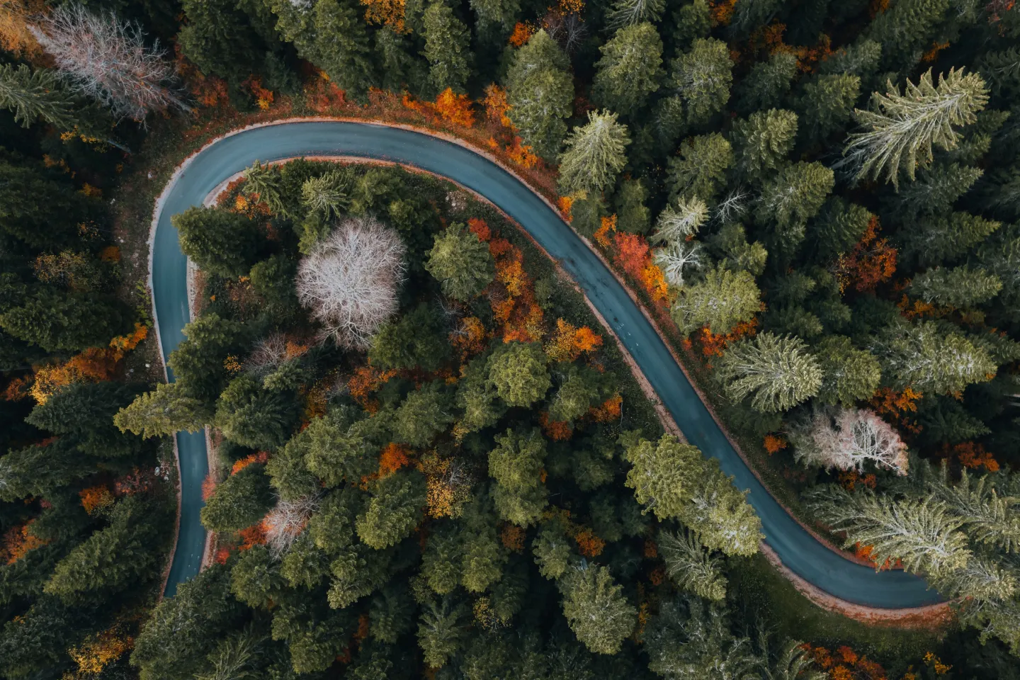 Test Automation Expansion Announcement