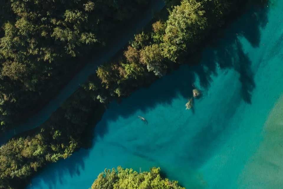 Testlio - Dave - Board Announcement