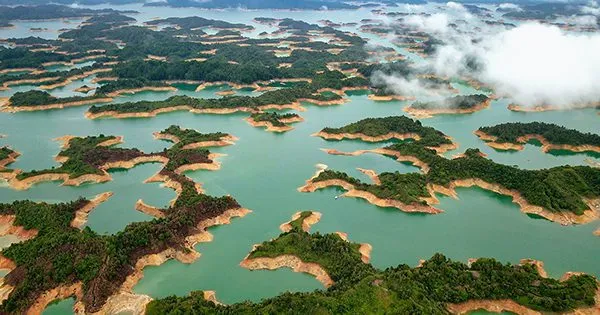 software testing teamFastCompany article on Twitter code issues and fewer staff to conduct code testing.