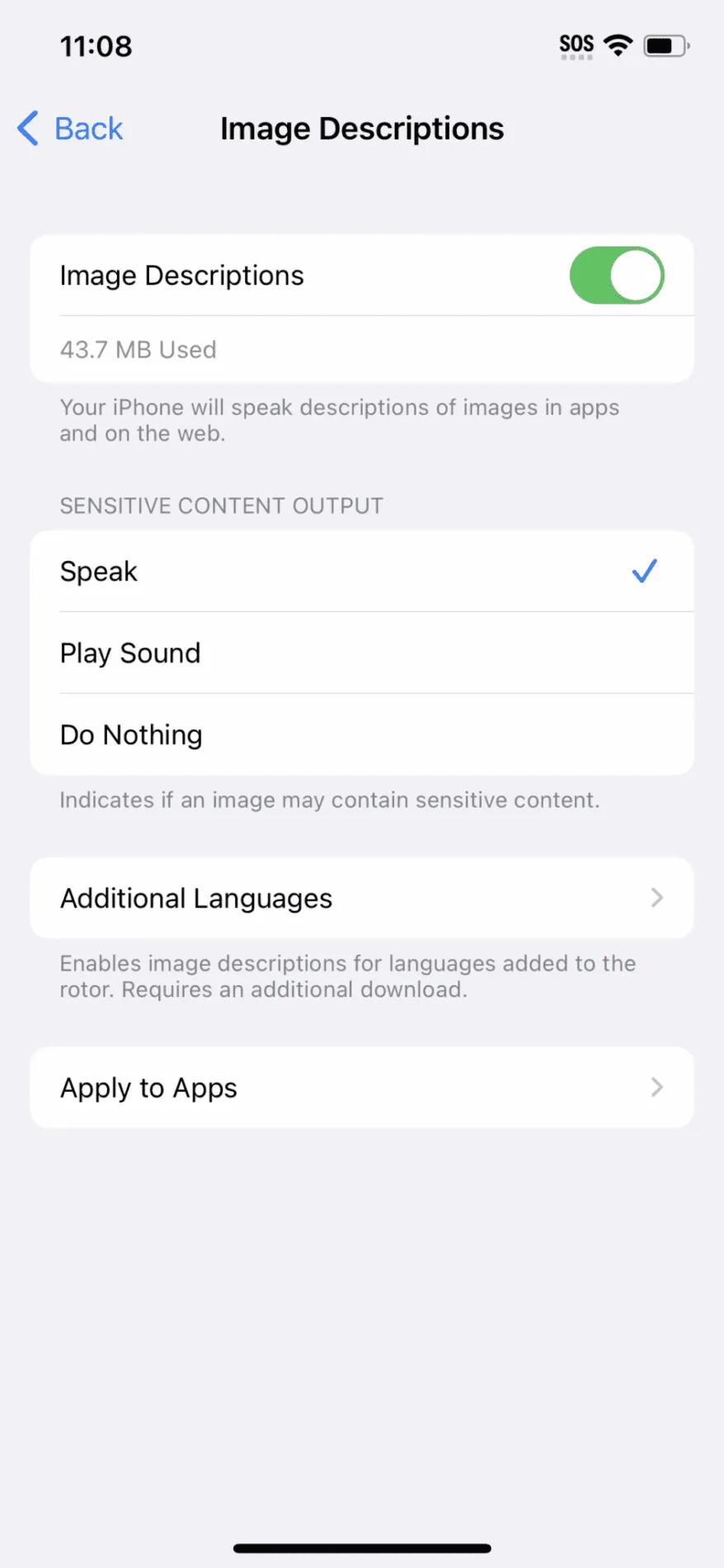 Screenshot of VoiceOver tool