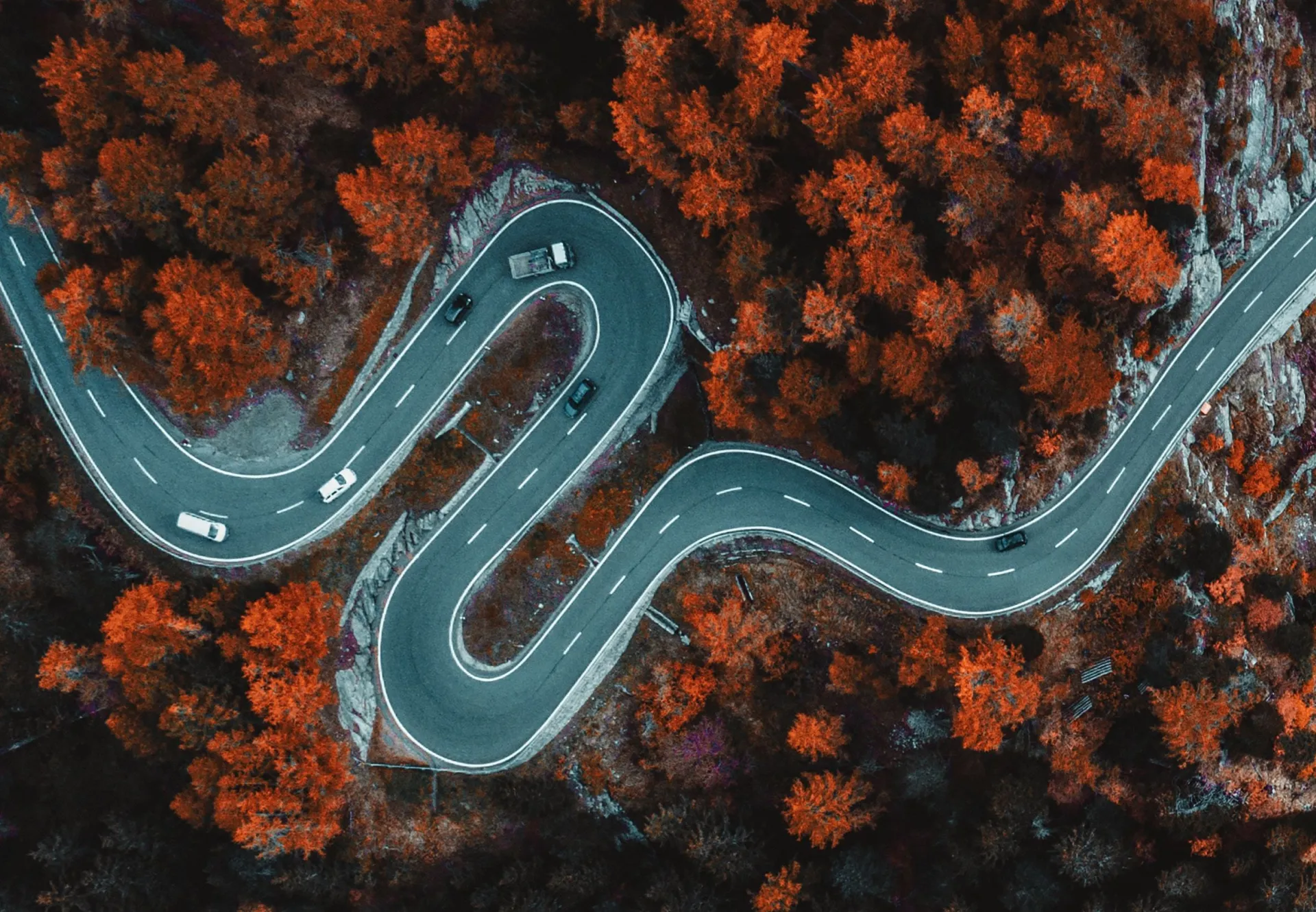 QA Value Add Blog Header- Shows curved roads in an autumn setting