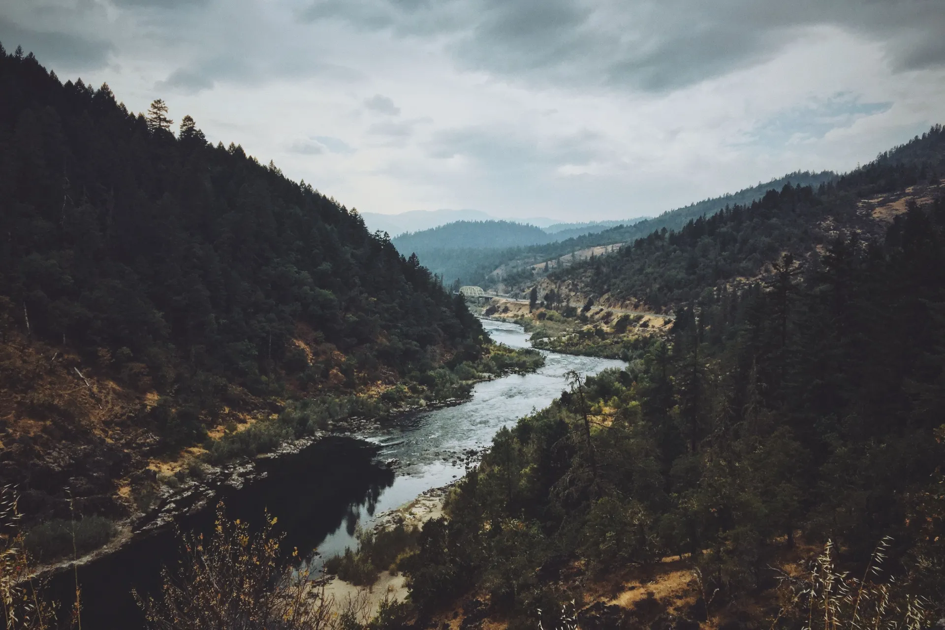 Flaky Tests - Best Practices