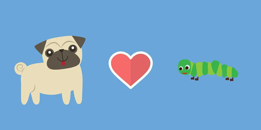 Hire for the right people