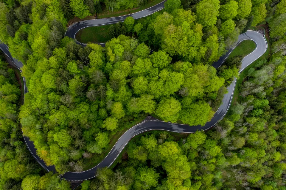 Software Testing Trendssoftware-testing-trends-2024-Testlio