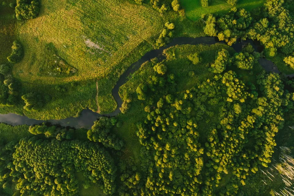 Unit Vs Regression Testing