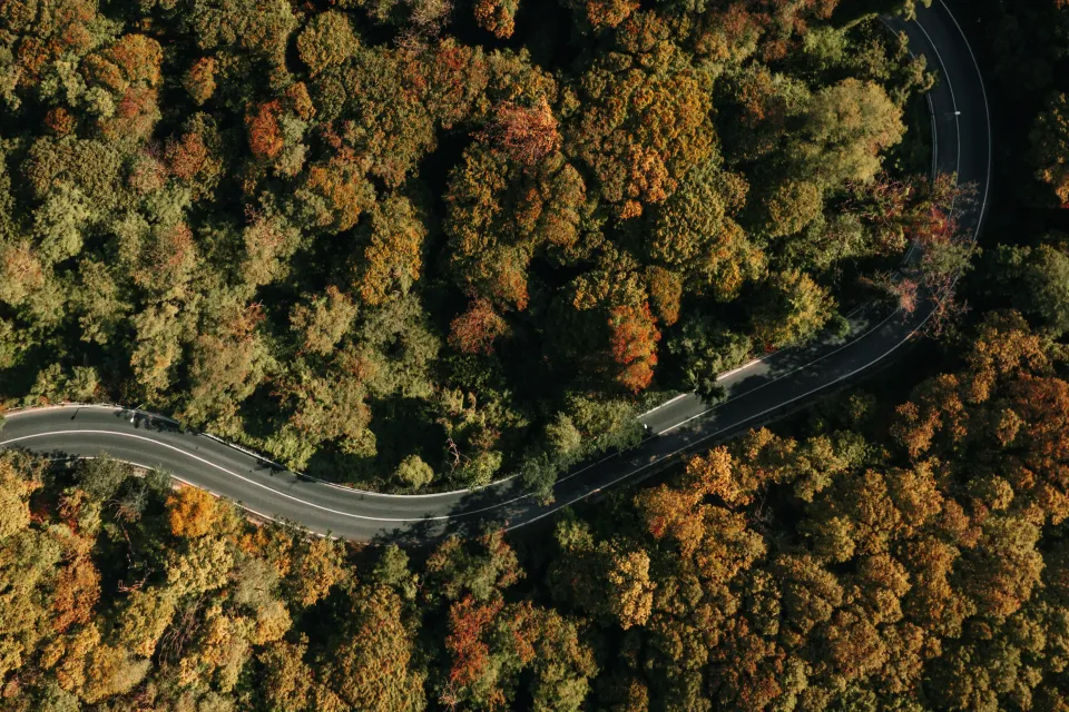 unit testing vs acceptance testing