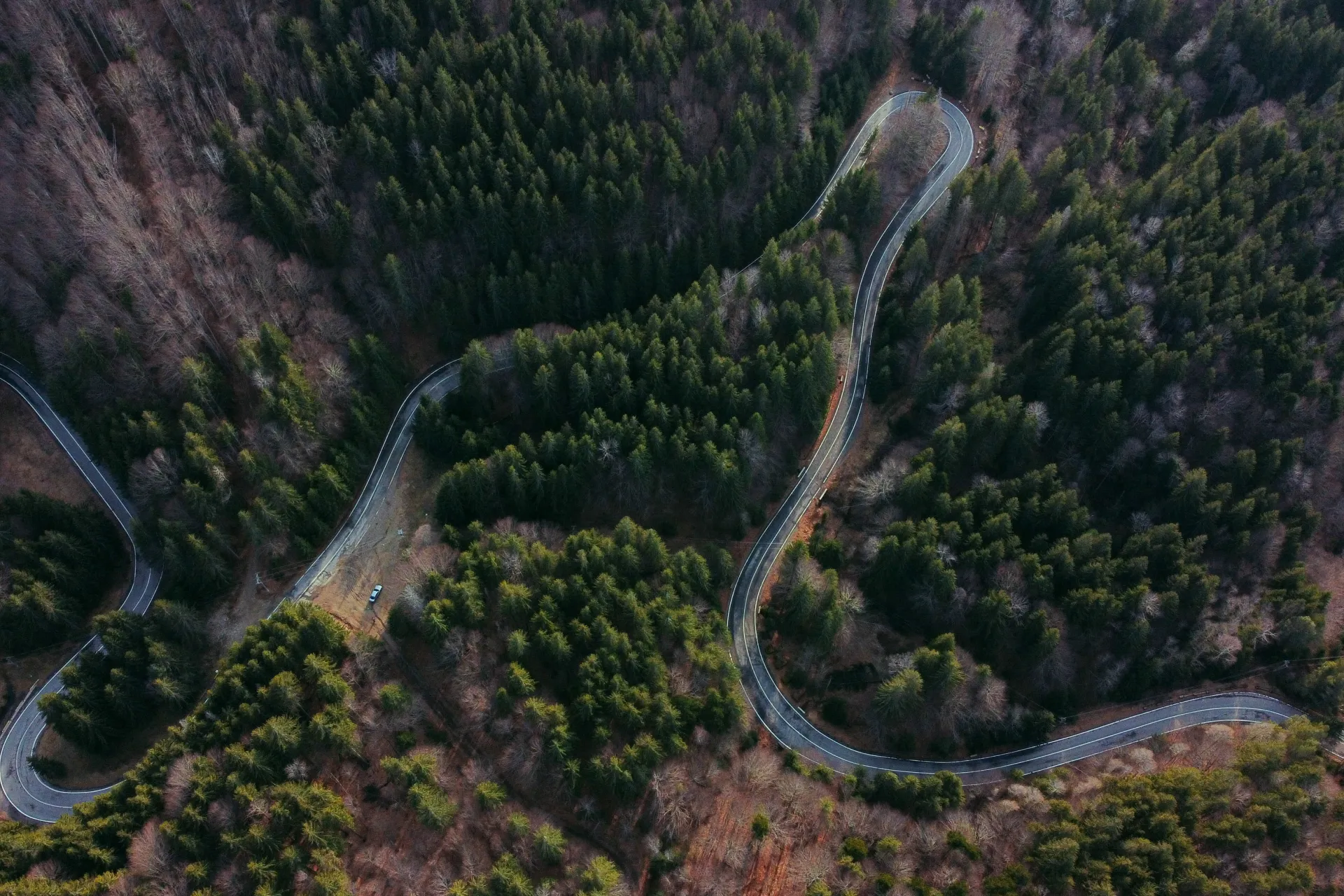 Payment Testing Statistics Blog Header