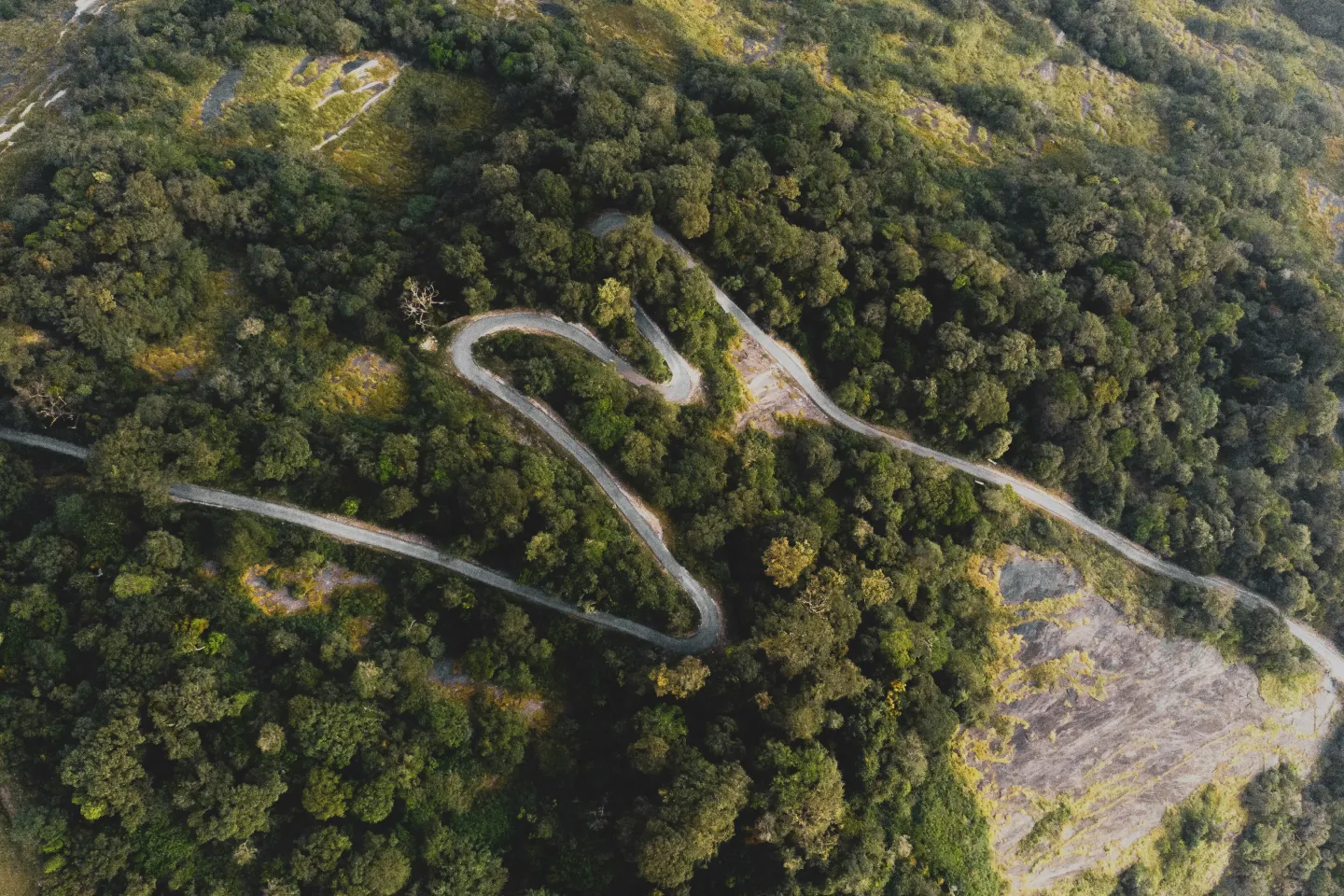 Static TestingTypes of Static testingStatic vs Dynamic Testing