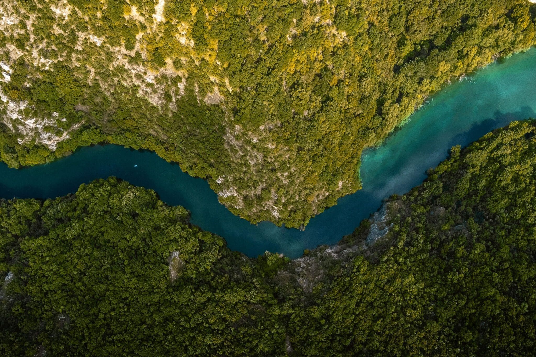 Aerial image of a river in the middle of a forest