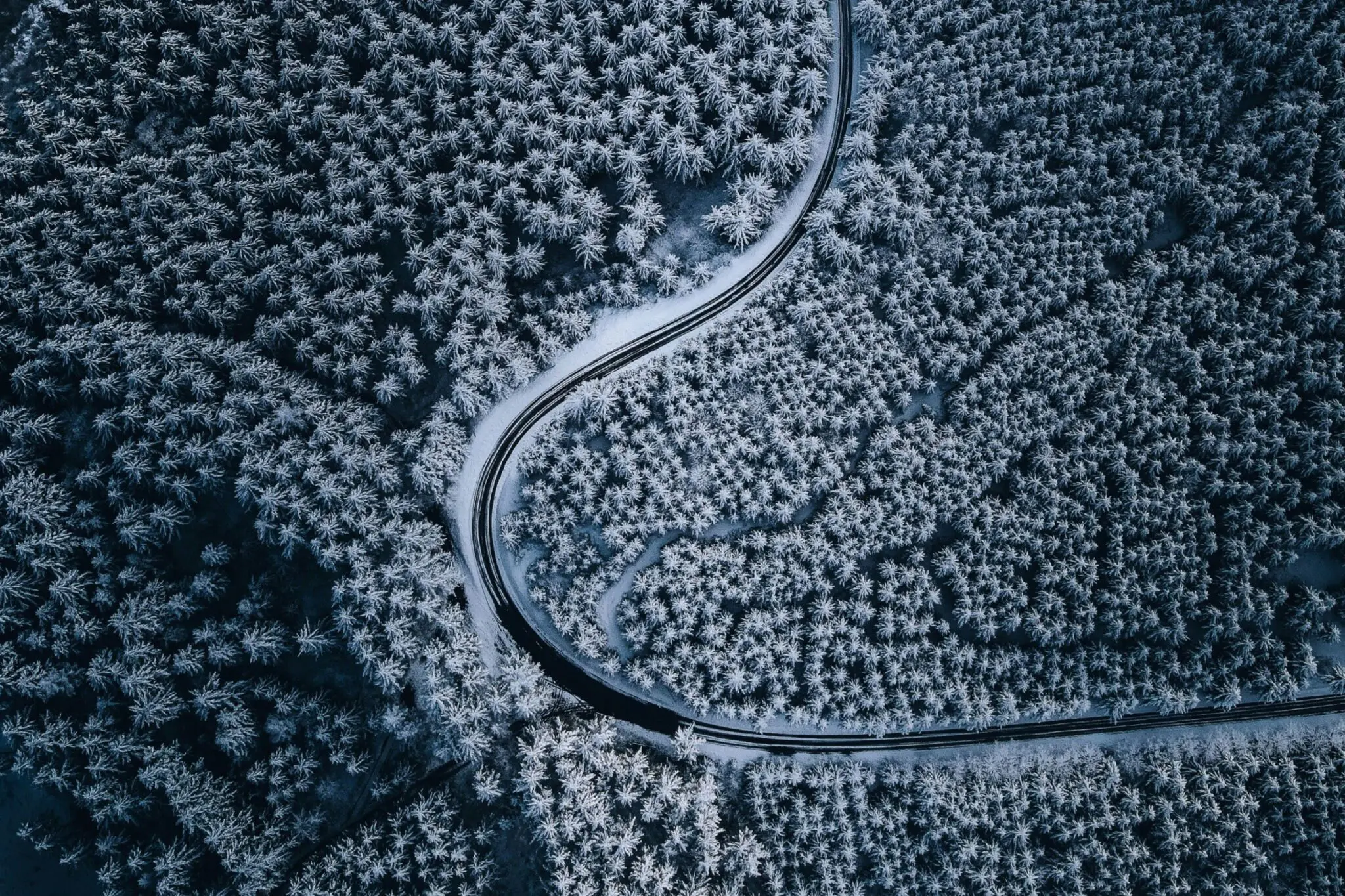 White box vs Black box Vs Gray Box Comparison.unpacking-white-box-gray-box-and-black-box-testing-medium-blog-header.pngIntegrating black box, white box and gray box testing in your SDLC.