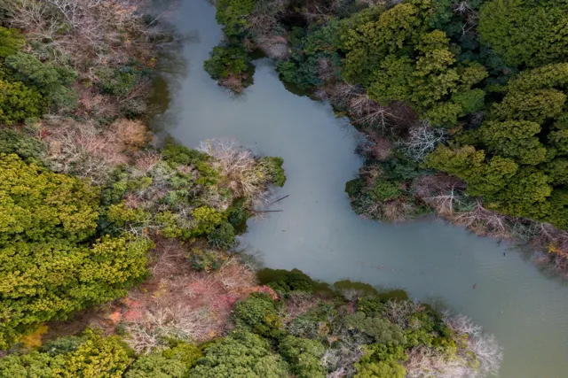 Sandwich IntegrationWhat Is Sandwich Integration Testing?Sandwich Integration Testing ProcessChallenges of Sandwich Integration Testing