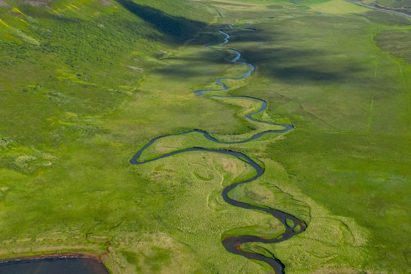 What is Capacity Testing