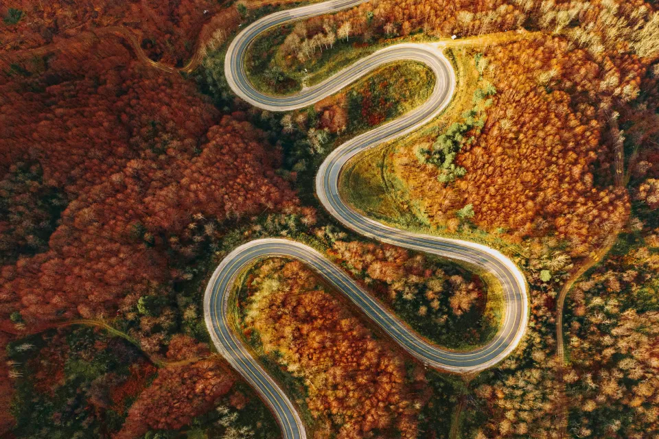 Enterprise Software TestingKey Types of Enterprise Software TestingMeasuring the Success of Enterprise Testing Strategy