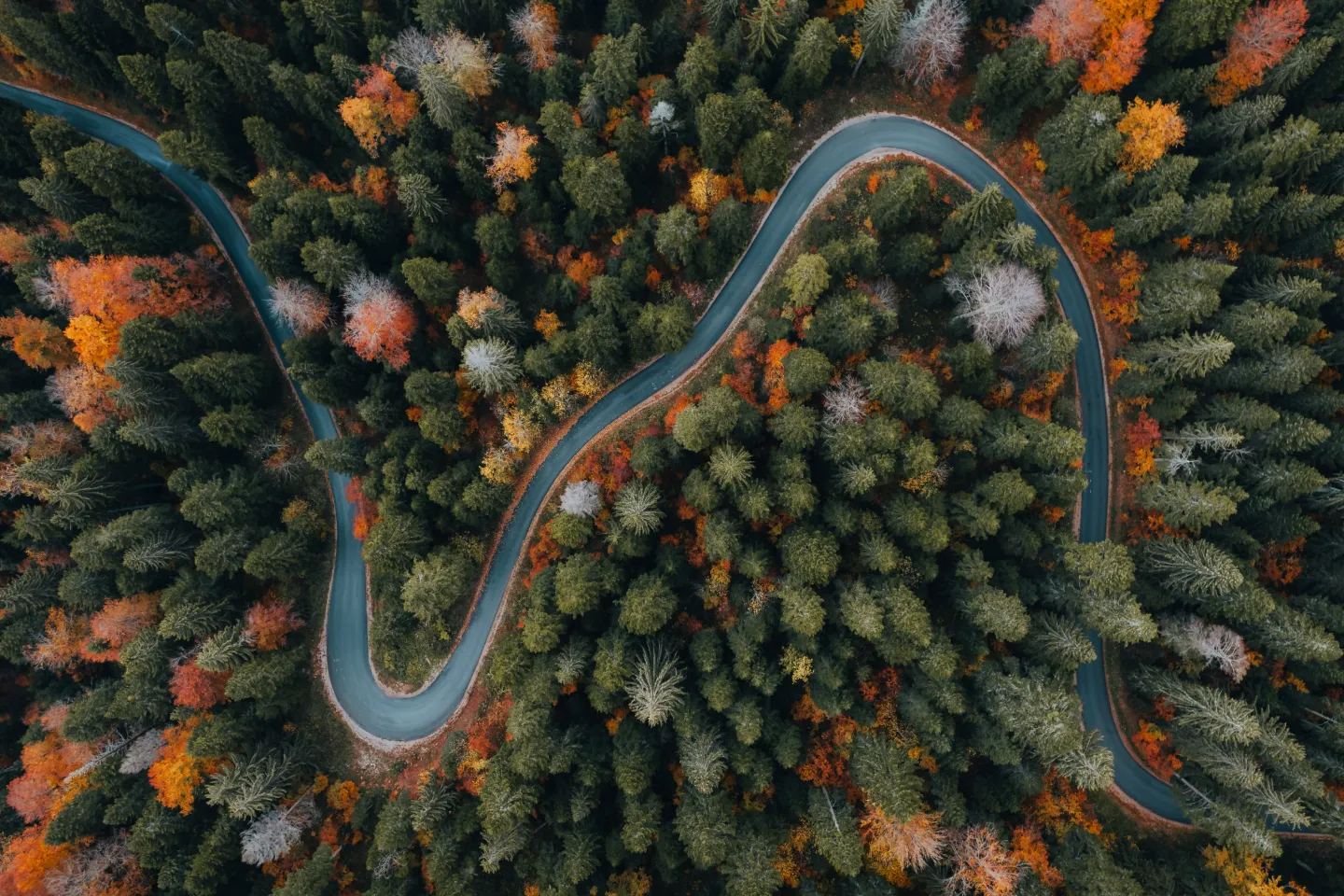 Moderated Usability Testing GuidePros & Cons of Moderated Usability TestingModerated usability testing best practices