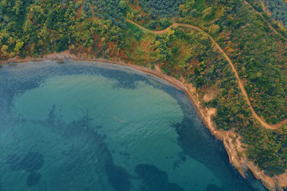 Gray Box Testing Blog Header