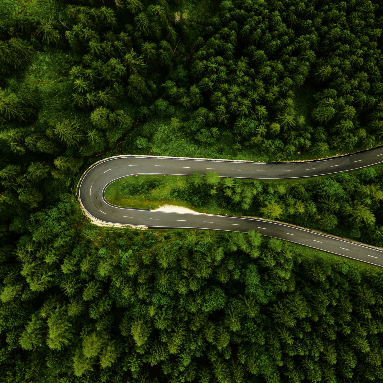 Aerial photo of forest roads