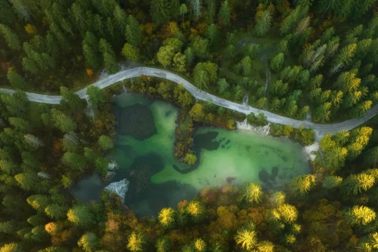 AI Data Services Blog