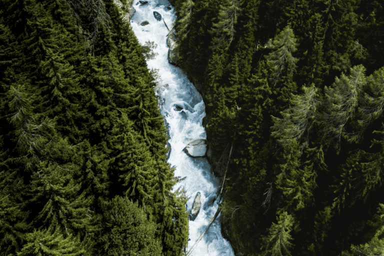 Big Data and Software Quality Blog - Shows a rushing river surrounded by evergreen trees