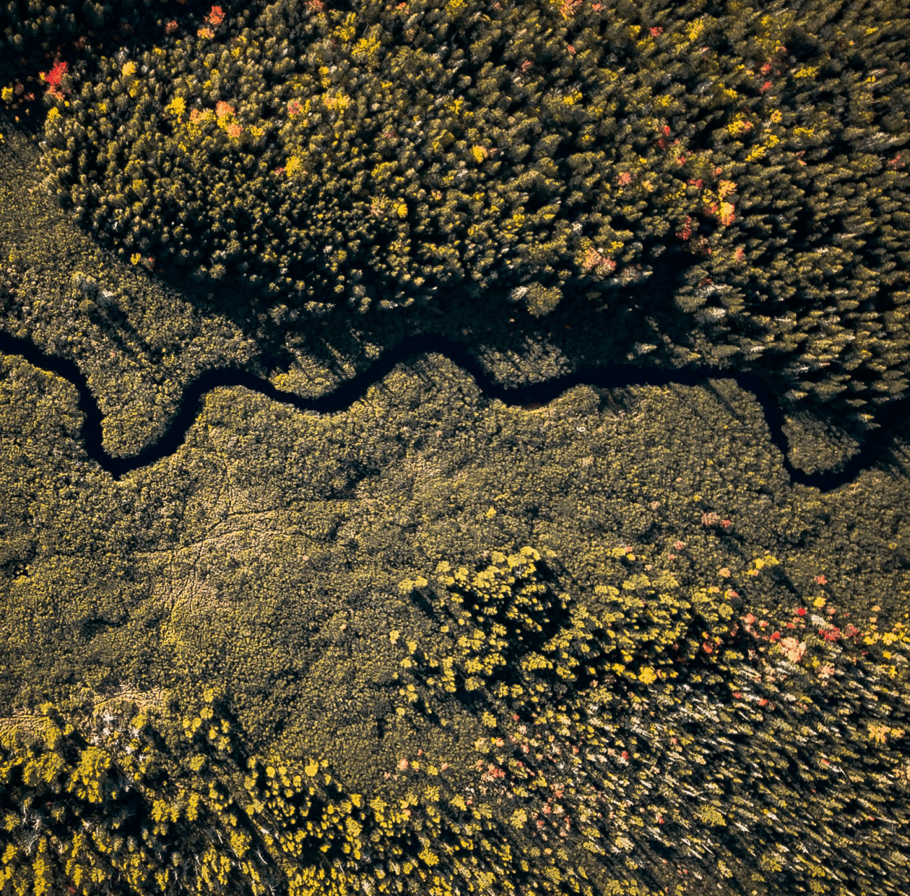 Sanity Testing Vs Regression Testing