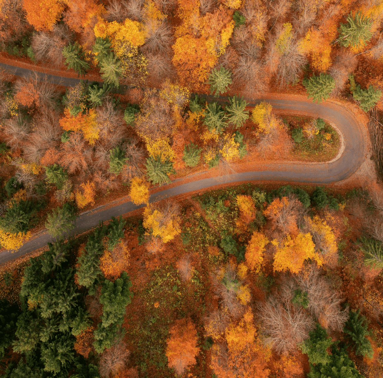 Software Load Testing