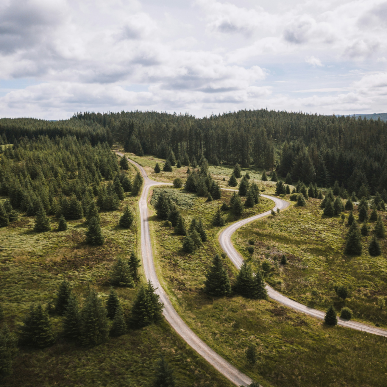 End to End testingwhat is end to end testingtypes of end to end testing