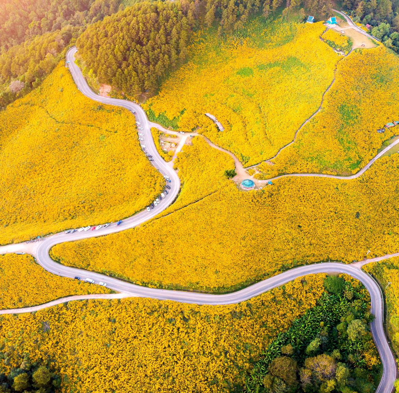 Testing in Production